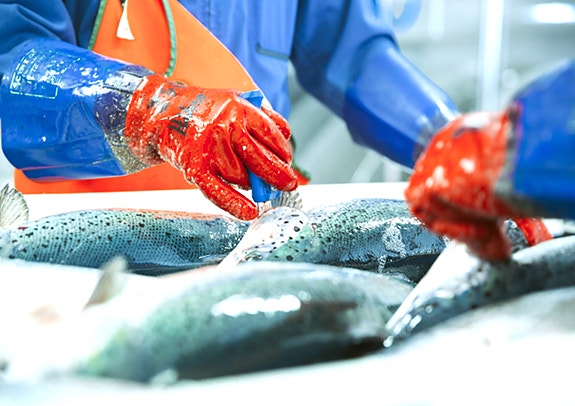 Bilde 2 av 7 i jobbannonse-galleriet