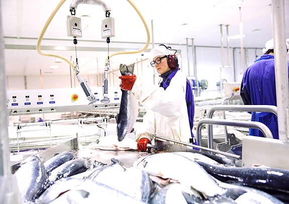 Bilde 3 av 7 i jobbannonse-galleriet