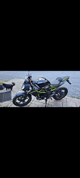 Kawasaki Z 125 3 of 5
