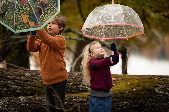 Bilde 1 av 5 i jobbannonse-galleriet