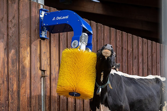 Bilde 2 av 4 i jobbannonse-galleriet