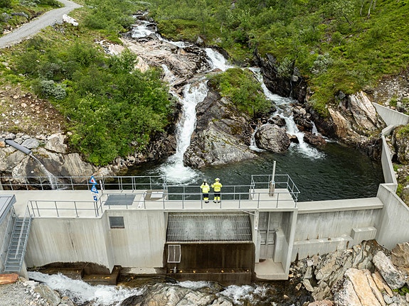 Bilde 1 av 4 i jobbannonse-galleriet