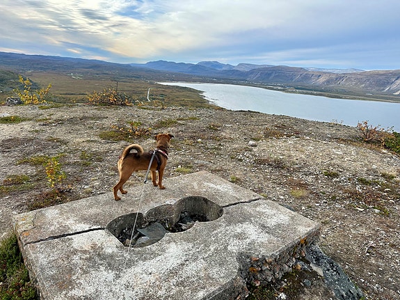 Bilde 4 av 4 i jobbannonse-galleriet