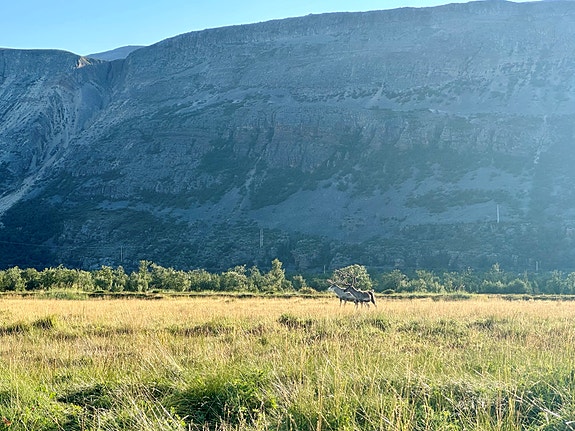 Bilde 3 av 4 i jobbannonse-galleriet