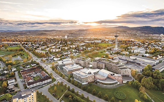 Bilde 10 av 10 i jobbannonse-galleriet