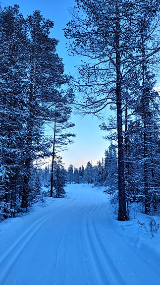 Andre Villa Vogn,  med tilbygg gir hyttefølelse i Hemsedal. 29 of 30