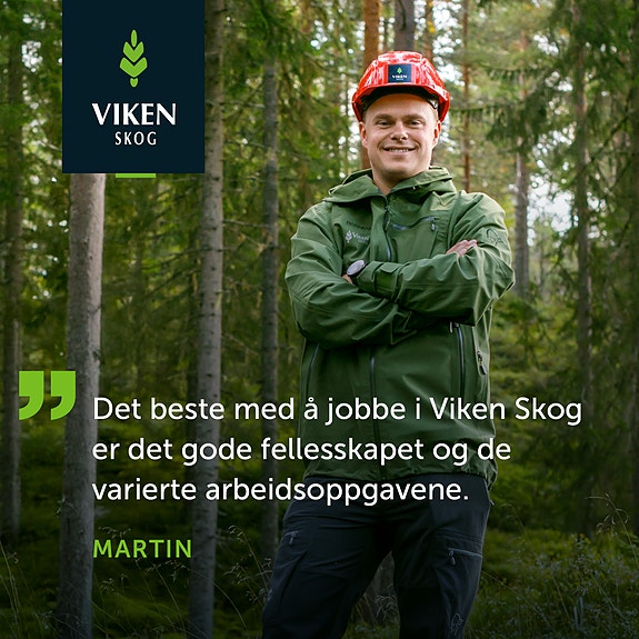 Bilde 3 av 3 i jobbannonse-galleriet