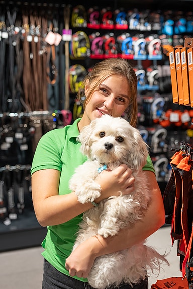 Bilde 1 av 10 i jobbannonse-galleriet