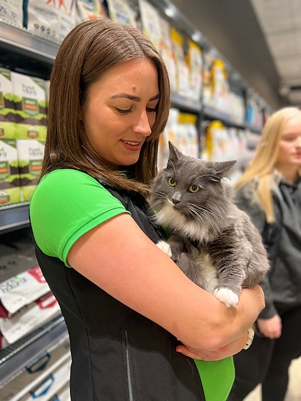 Bilde 4 av 10 i jobbannonse-galleriet