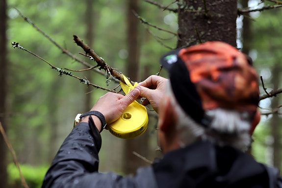 Bilde 1 av 3 i jobbannonse-galleriet