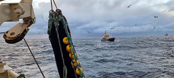 Bilde 6 av 8 i jobbannonse-galleriet