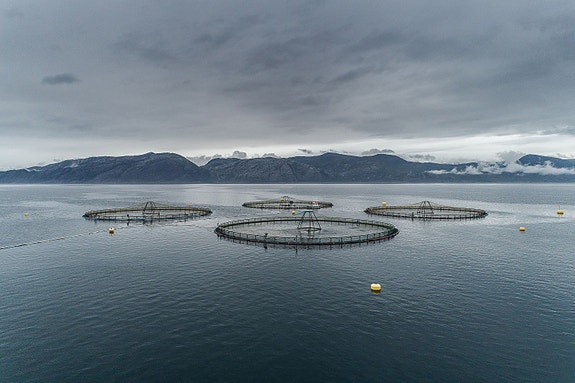 Bilde 9 av 10 i jobbannonse-galleriet