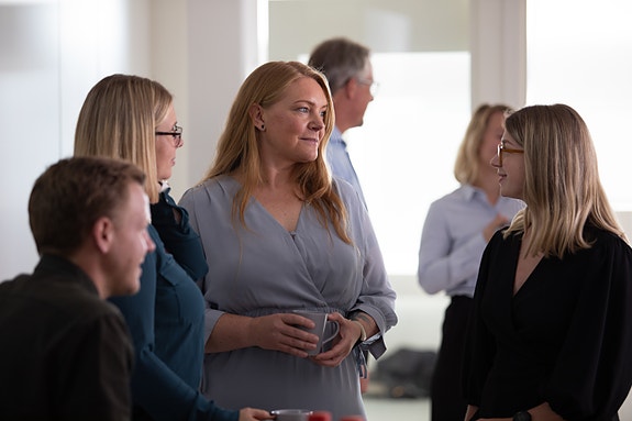 Bilde 1 av 1 i jobbannonse-galleriet