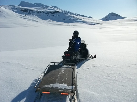 Bilde 8 av 10 i jobbannonse-galleriet