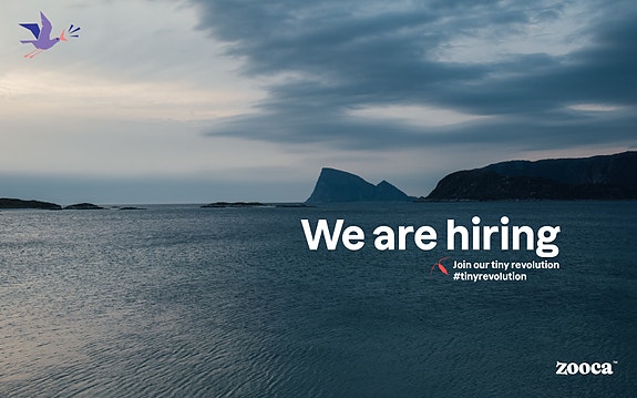 Bilde 1 av 4 i jobbannonse-galleriet