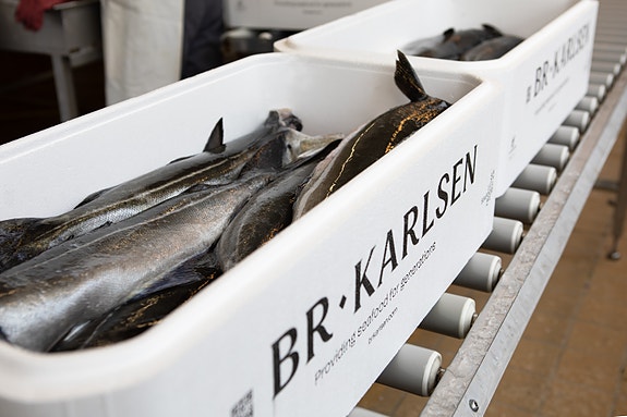 Bilde 2 av 3 i jobbannonse-galleriet