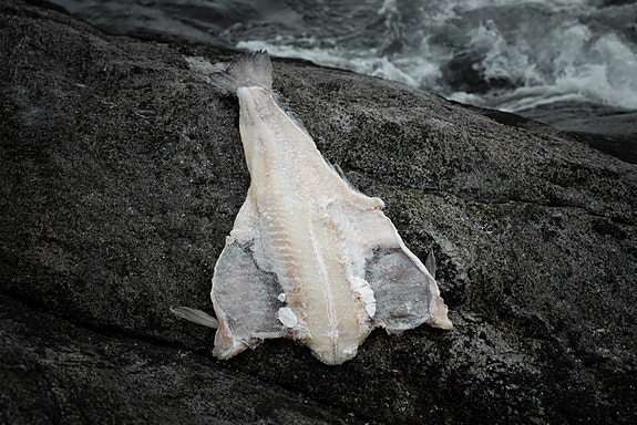 Bilde 3 av 3 i jobbannonse-galleriet