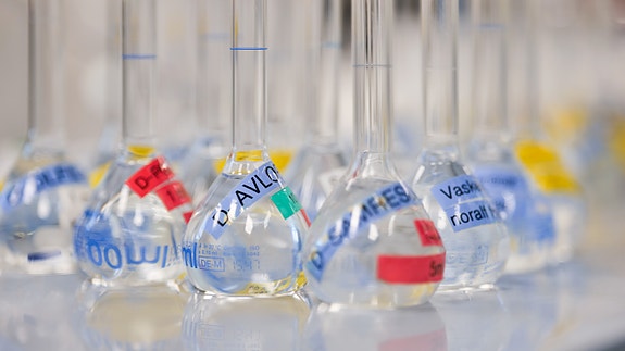 Bilde 5 av 9 i jobbannonse-galleriet