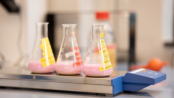 Bilde 3 av 9 i jobbannonse-galleriet