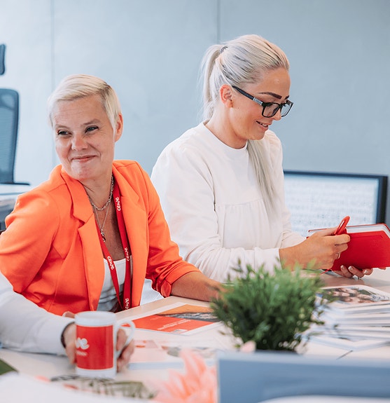 Bilde 1 av 1 i jobbannonse-galleriet