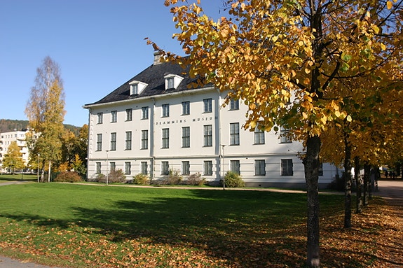 Bilde 1 av 2 i jobbannonse-galleriet