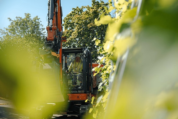 Bilde 2 av 2 i jobbannonse-galleriet