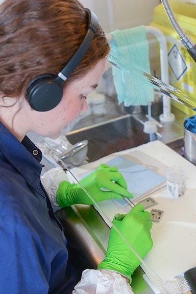 Bilde 3 av 7 i jobbannonse-galleriet