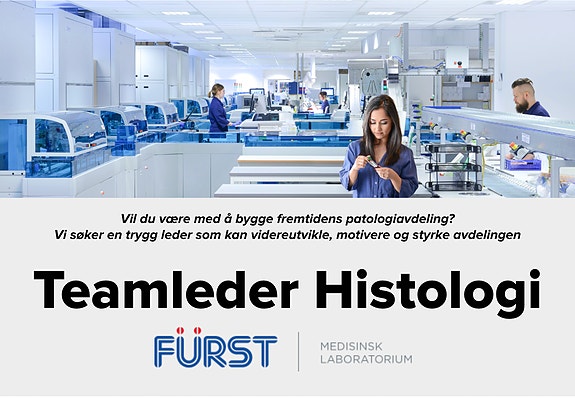 Bilde 2 av 7 i jobbannonse-galleriet