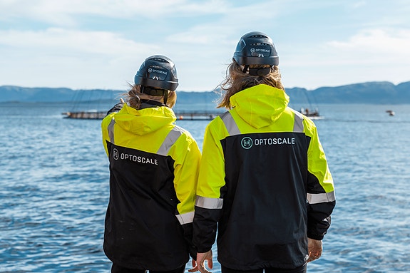 Bilde 1 av 5 i jobbannonse-galleriet