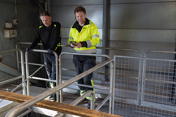 Observasjon av prosessanlegg