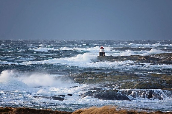 Bilde 2 av 6 i jobbannonse-galleriet