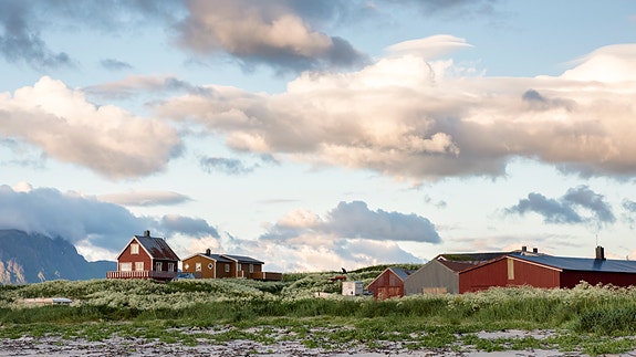 Bilde 1 av 1 i jobbannonse-galleriet