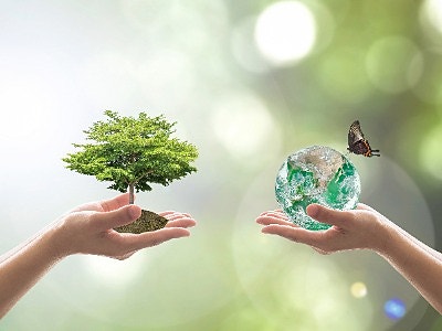 Bilde 1 av 1 i jobbannonse-galleriet