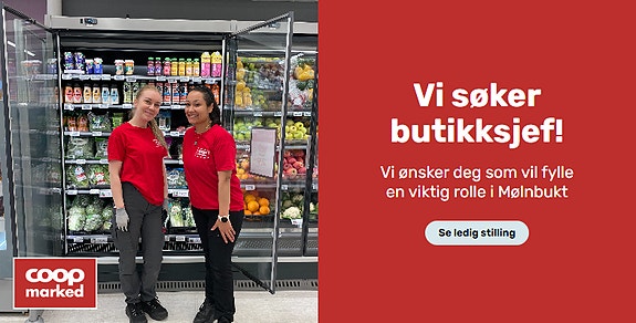 Bilde 1 av 1 i jobbannonse-galleriet