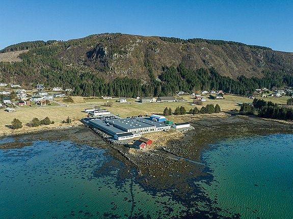 Bilde 1 av 2 i jobbannonse-galleriet