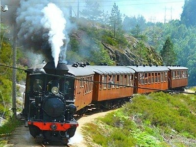 Vest-Agder-museet IKS logo