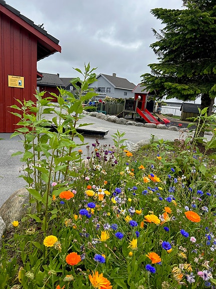 Bilde 3 av 5 i jobbannonse-galleriet