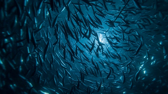 Bilde 1 av 3 i jobbannonse-galleriet