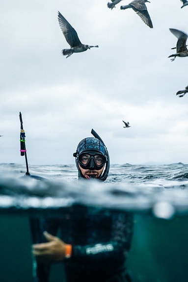 Bilde 3 av 3 i jobbannonse-galleriet