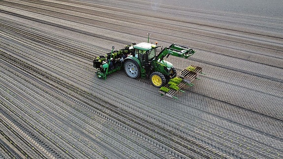 Bilde 1 av 7 i jobbannonse-galleriet