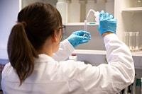 Bilde 3 av 4 i jobbannonse-galleriet