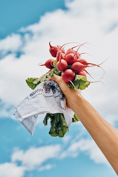 Bilde 1 av 1 i jobbannonse-galleriet