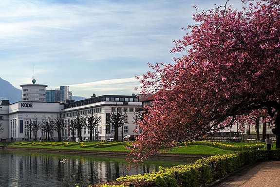 Bilde 2 av 5 i jobbannonse-galleriet