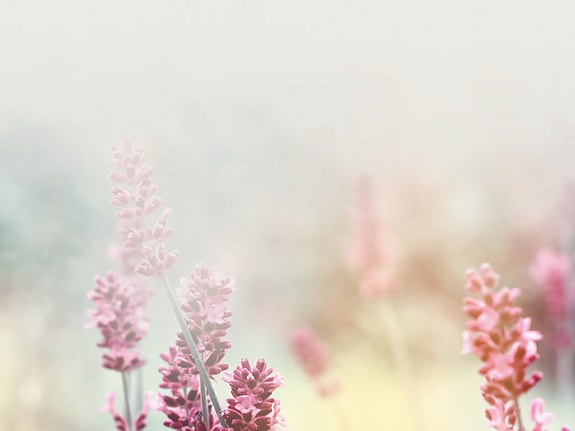 Bilde 1 av 1 i jobbannonse-galleriet