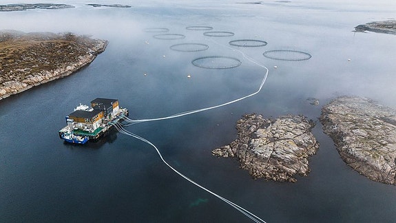 Bilde 1 av 3 i jobbannonse-galleriet