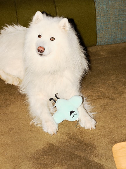 Bilde 6 av 6 i jobbannonse-galleriet