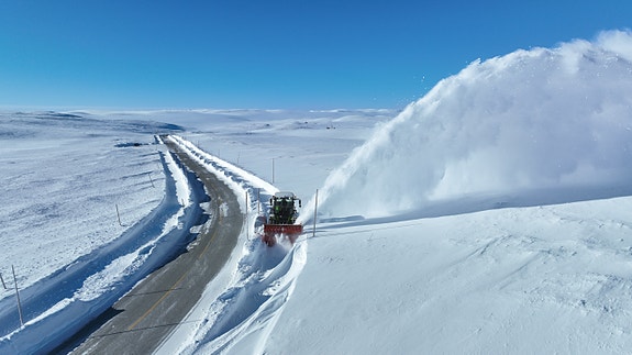 Bilde 8 av 9 i jobbannonse-galleriet