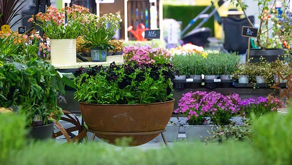 Bilde 2 av 7 i jobbannonse-galleriet