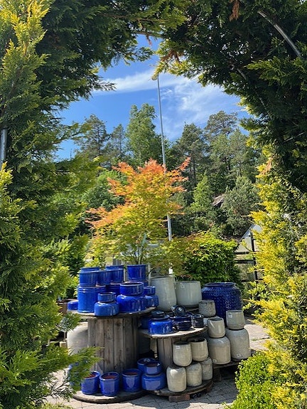 Et lite utsnitt fra hagesenteret vårt :)