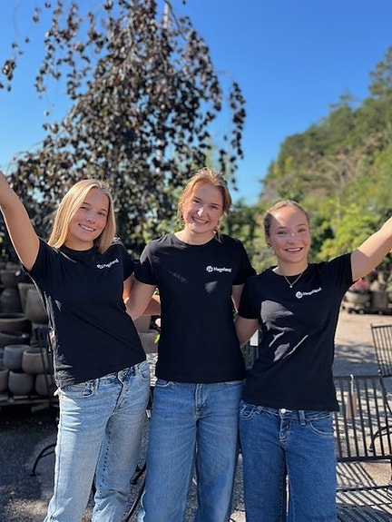 De gode ekstrahjelpene våres!